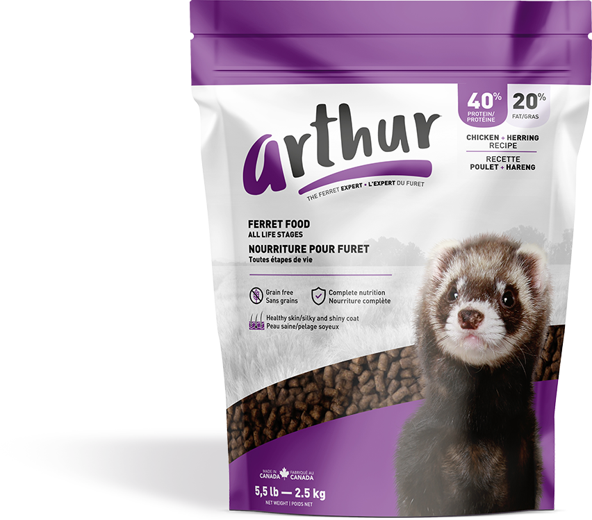 Arthur ferret food 