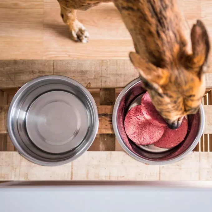 Canard Hypoallergénique de Faim Museau 6lb (24 médaillons) - La niche&amp;moi