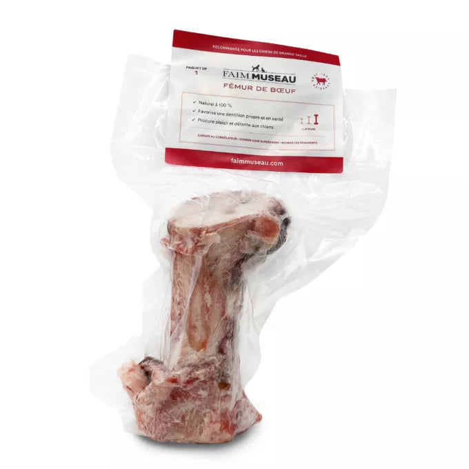 Beef Femur x 1 **Pick up in store only**