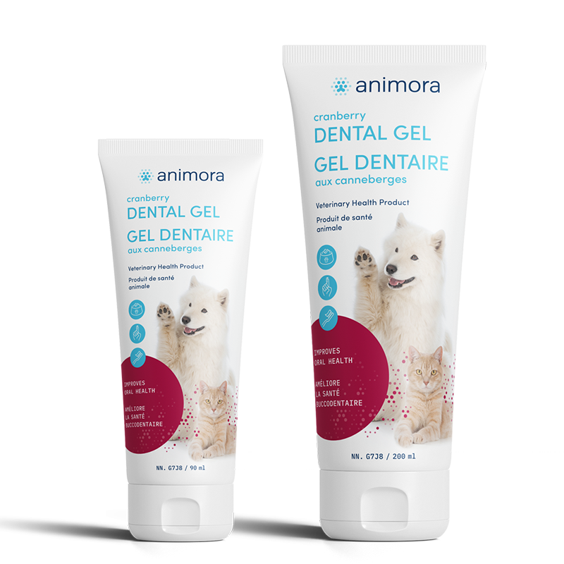 Gel Dentaire aux Canneberges Animora - La niche&moi
