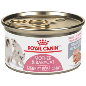 Royal Canin Mother and Baby Cat, Ultra Creamy Mousse 145g