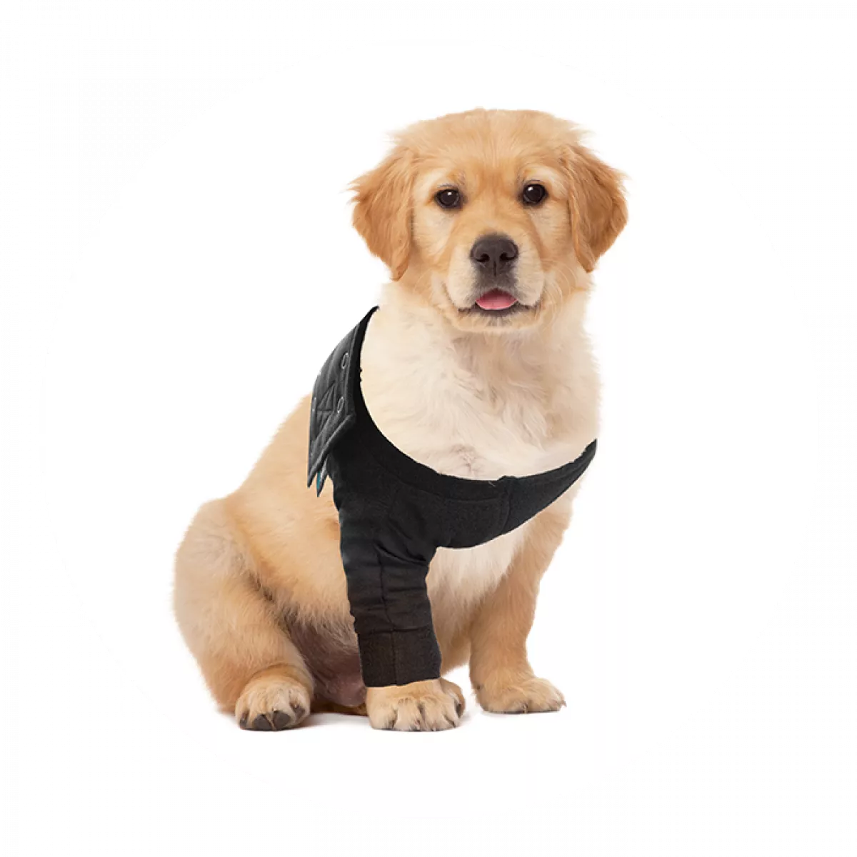 Textiles et accessoires pour chiens Buster Manchon pour Chien