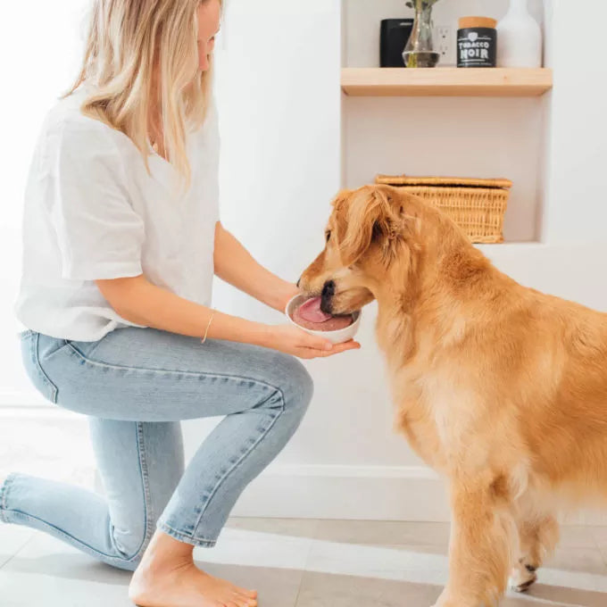 Simplement Poulet de Faim Museau 6lb (24 médaillons) - La niche&amp;moi